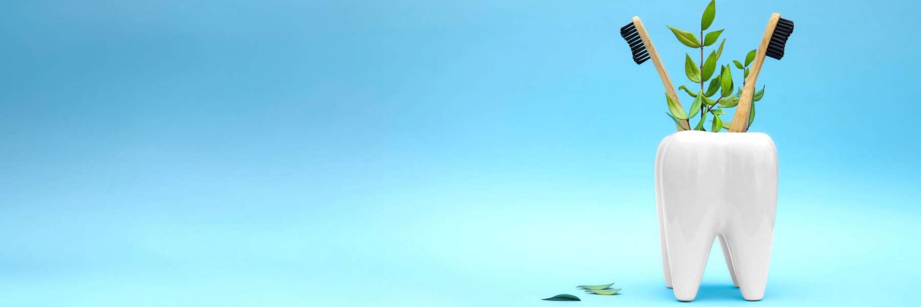 two toothbrushes in a tooth vase