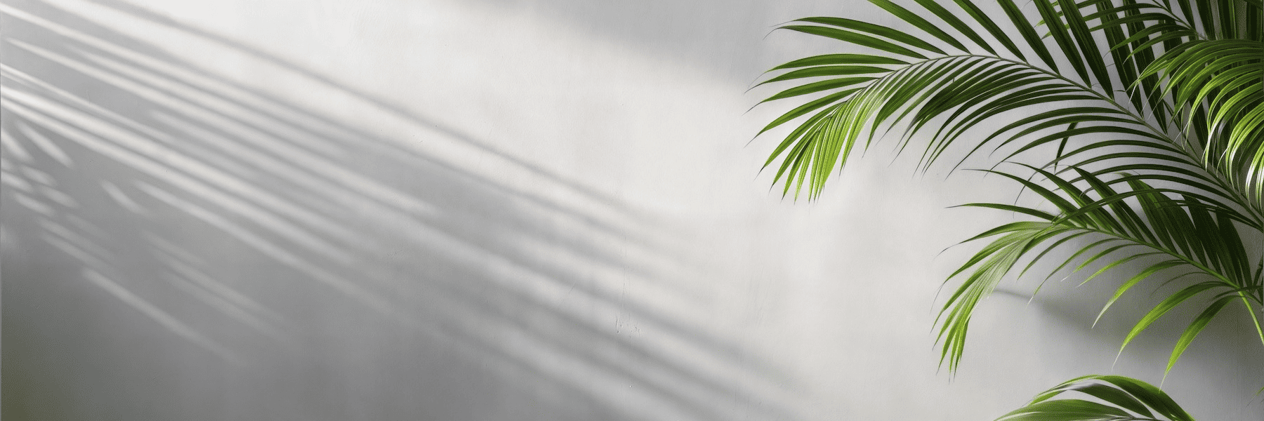 plant in dental office